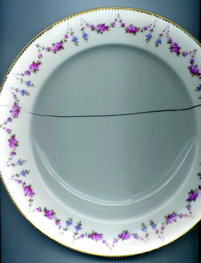G6824 Dinner Plate by Minton-1