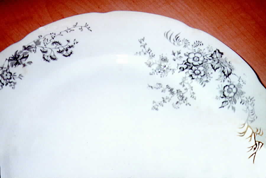 Severn Dinner Plate by Alfred Meakin-1