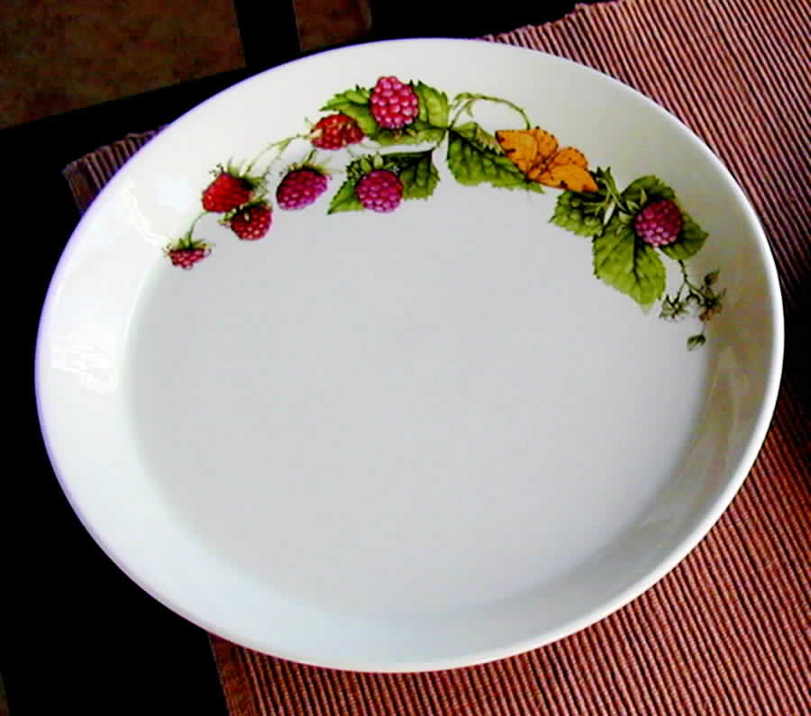 Libelle Dinner Plate by J & G Meakin-1