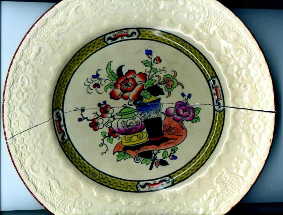 C4455 Dinner Plate by Mason's-1