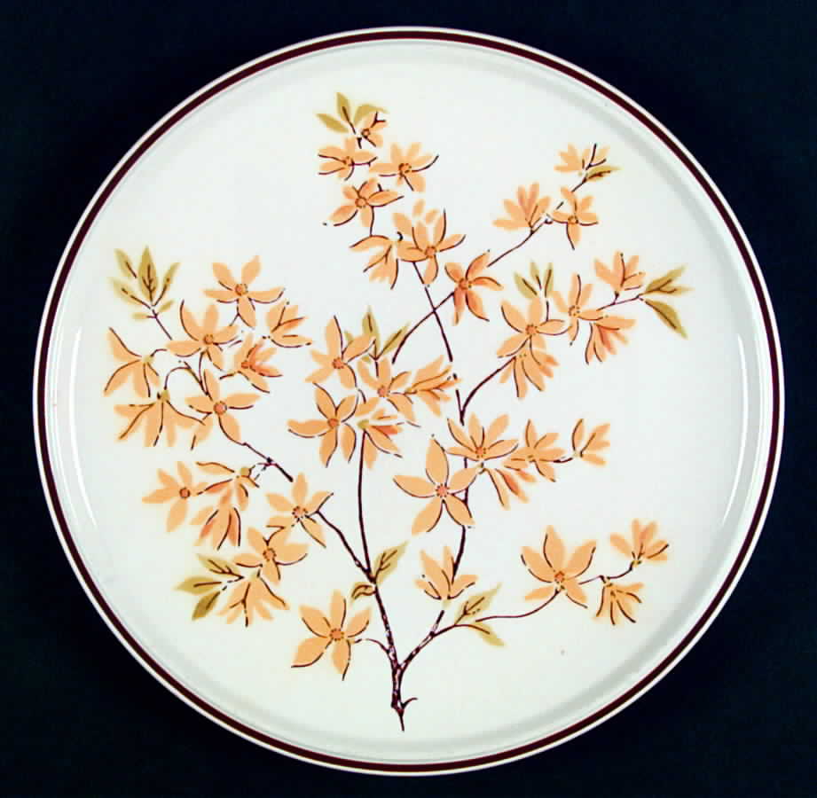 Summer Setting Dinner Plate by Mikasa-1