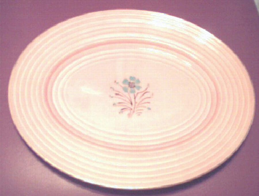 MYO47 14" Oval Serving Platter by Myott Staffordshire-1