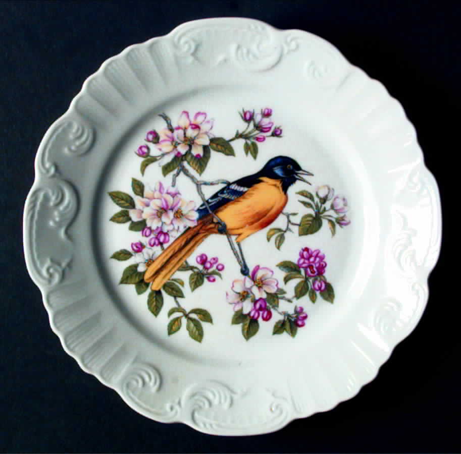 Song Birds of America Salad Plate by Mottahedeh-1