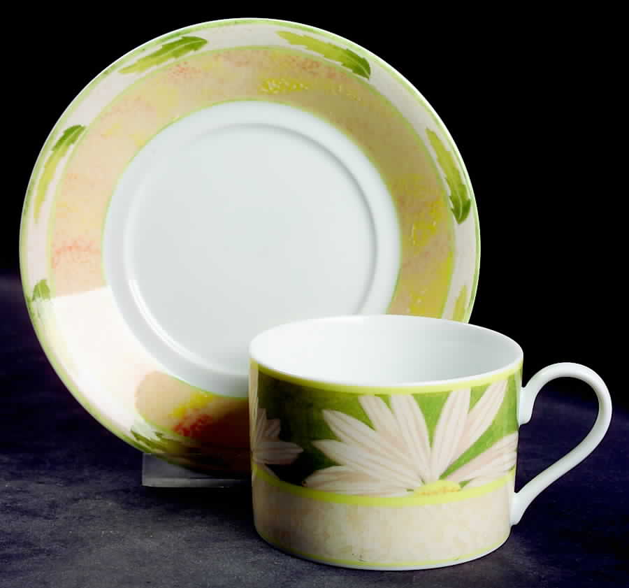 Daisy Charm Flat Cup & Saucer Set by Mikasa-1