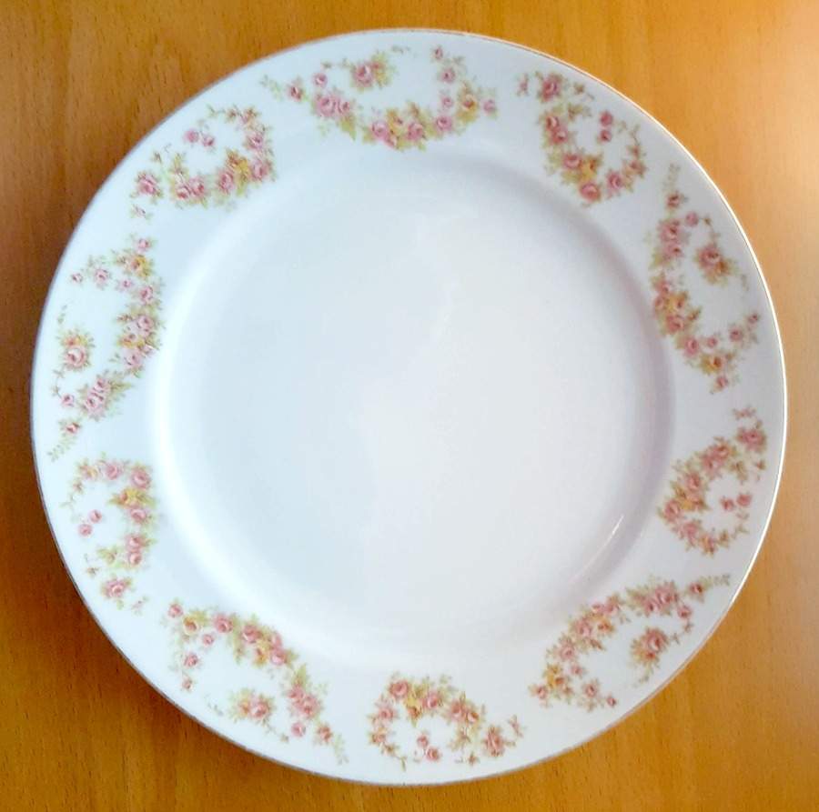 MEI626 Dinner Plate by Meito-1