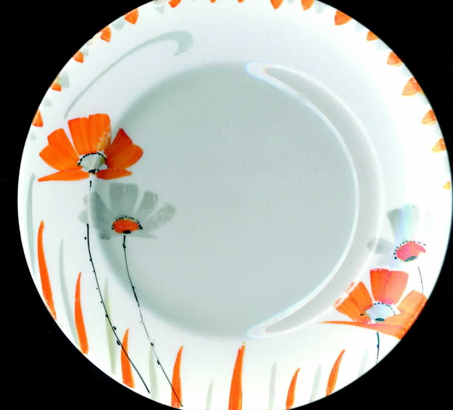 MYO50 Dinner Plate by Myott Staffordshire-1