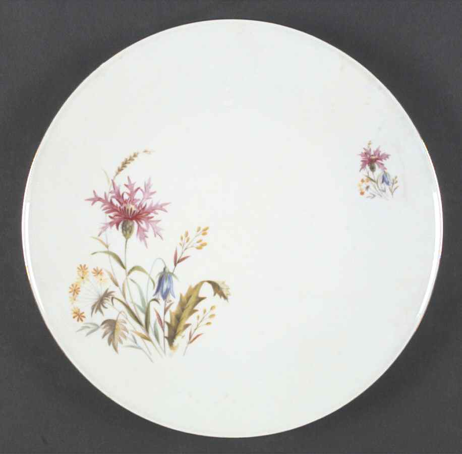 MIT86 Dinner Plate by Mitterteich-1