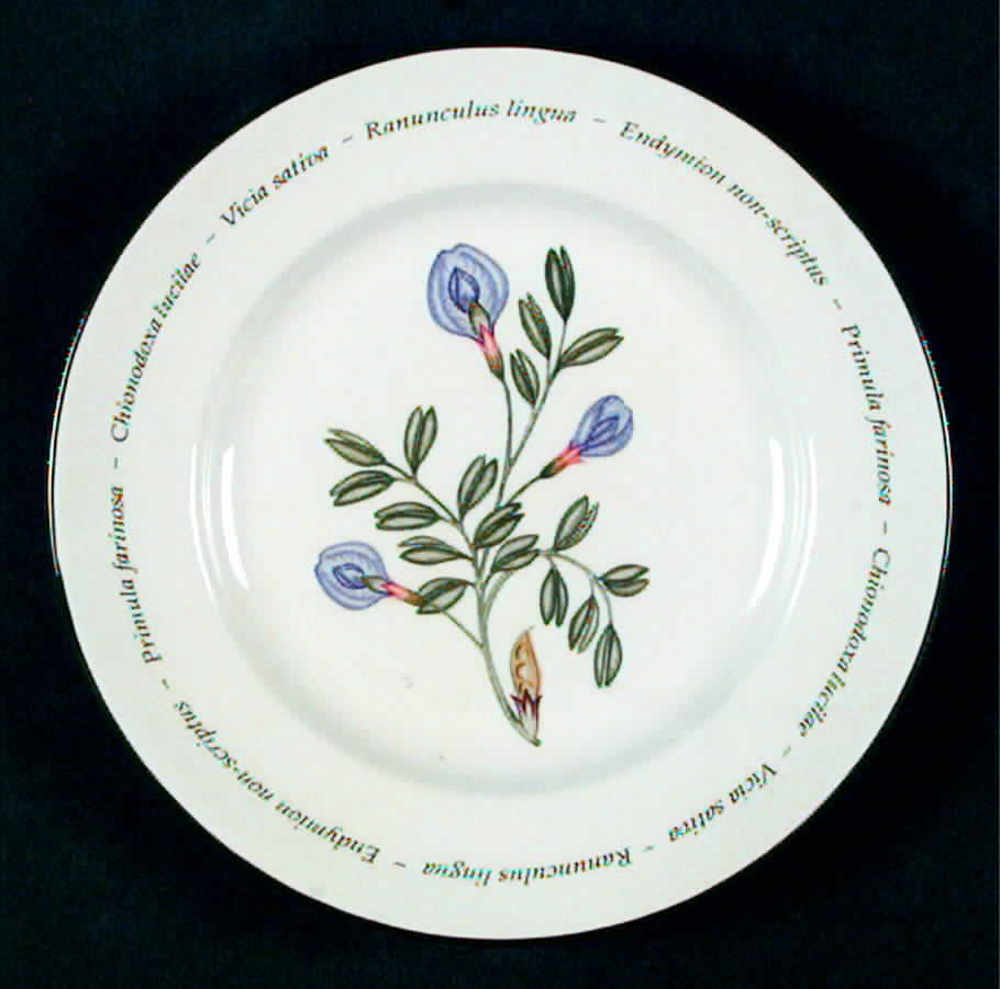 Wild Flowers Bread & Butter Plate by MFI China-1