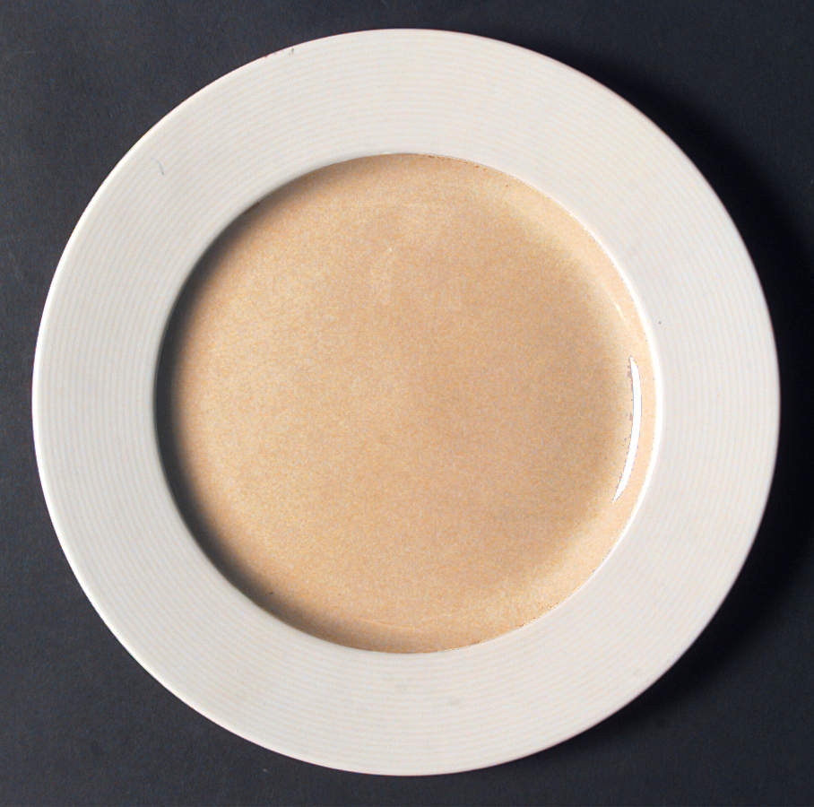 Coronet Camel Dinner Plate by Mikasa-1
