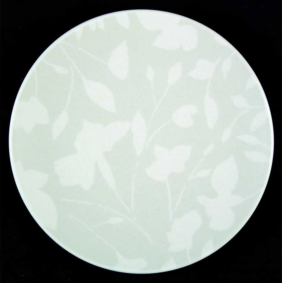 Silhouette Salad Plate by Mikasa-1