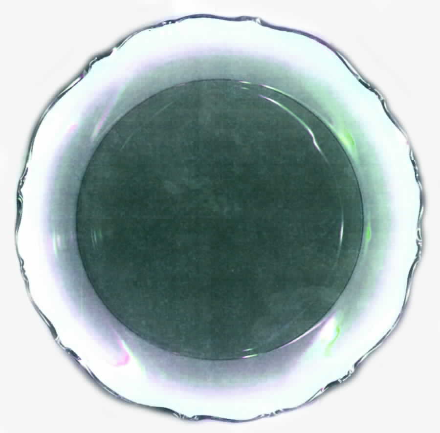 MTE4 Dinner Plate by Margarete-1