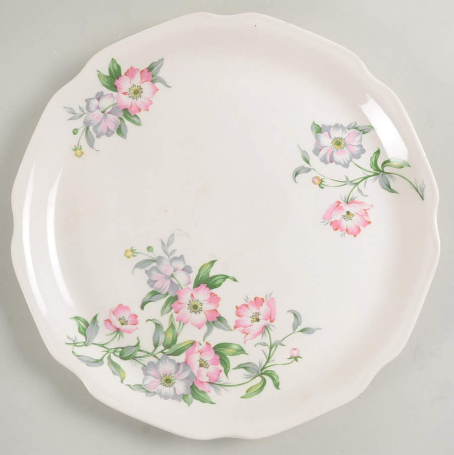 MTC51 Dinner Plate by Mount Clemens-1