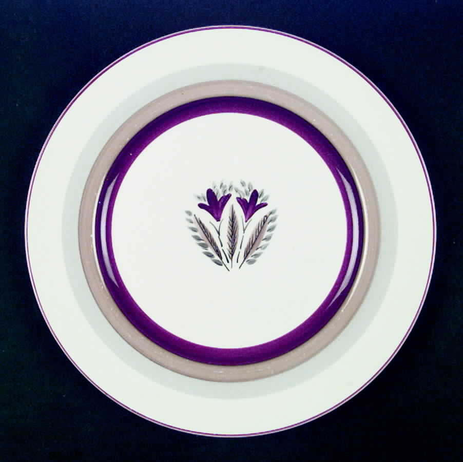 1132 Dinner Plate by Myott Staffordshire-1