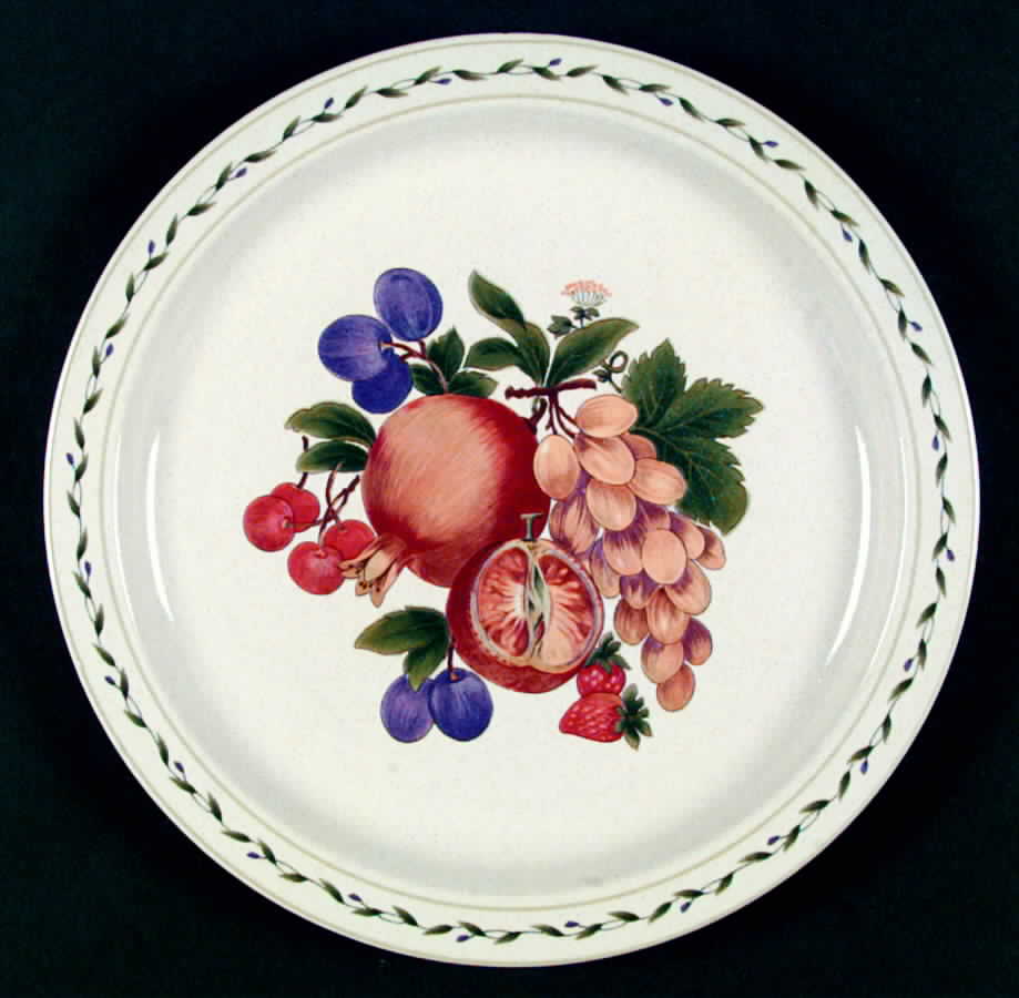 Summer Grove Dinner Plate by Mikasa-1