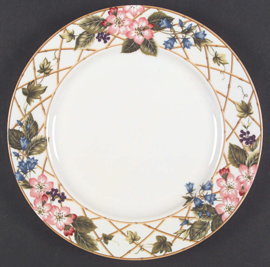 Sunshine Trellis Dinner Plate by Mikasa-1