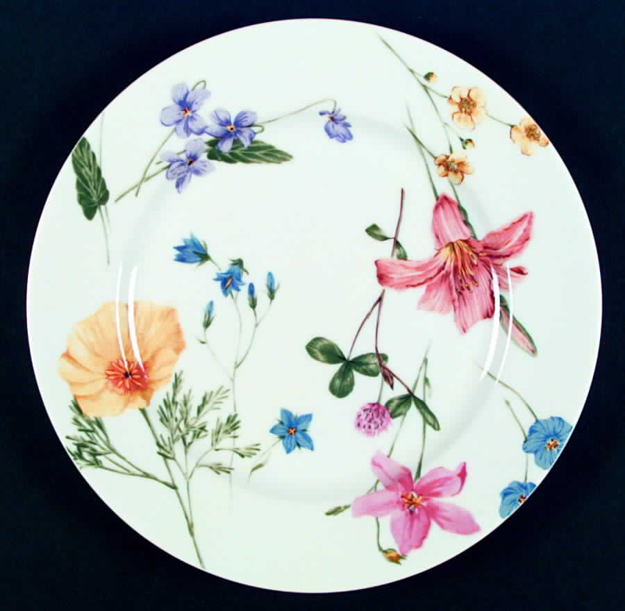 Lilliette Dinner Plate by Mikasa-1