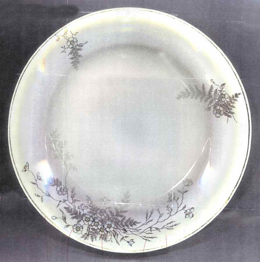 2031 Dinner Plate by John Maddock & Sons-1