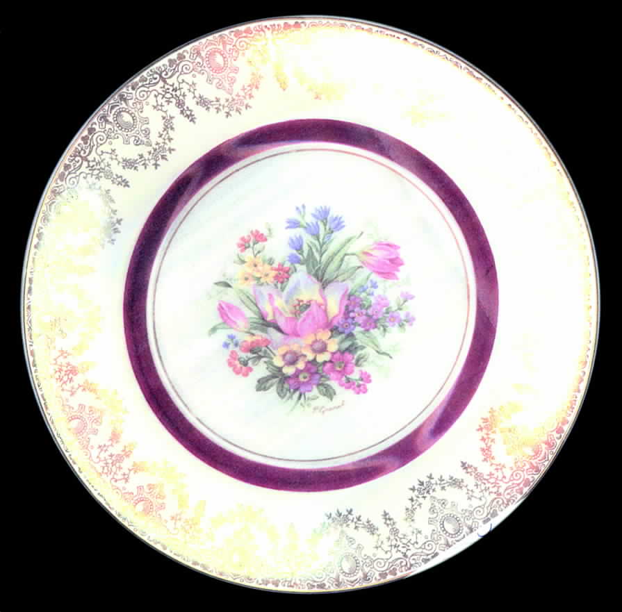 2745 Dinner Plate by Myott Staffordshire-1