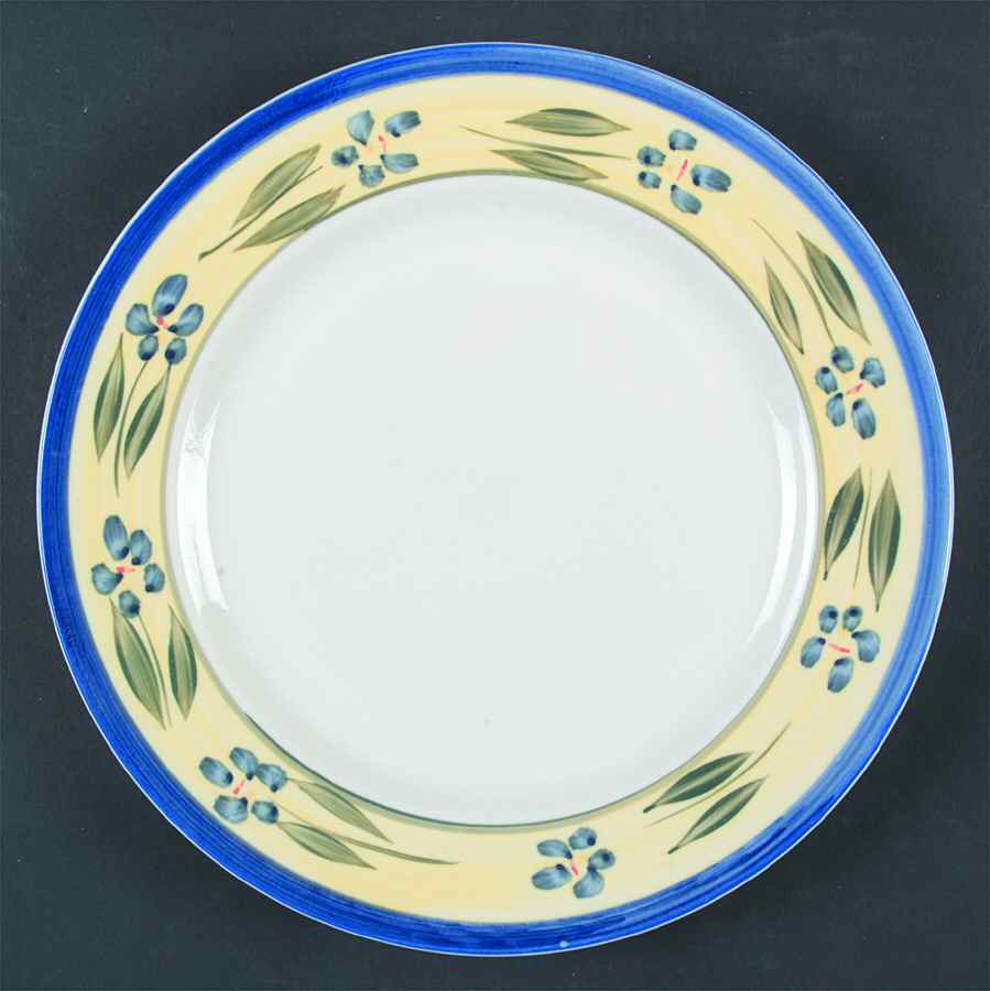Sarah Dinner Plate by Montgomery Ward-1
