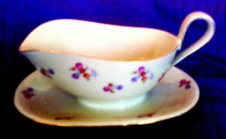 22604 Gravy Boat with Attached Underplate by Mitterteich-1