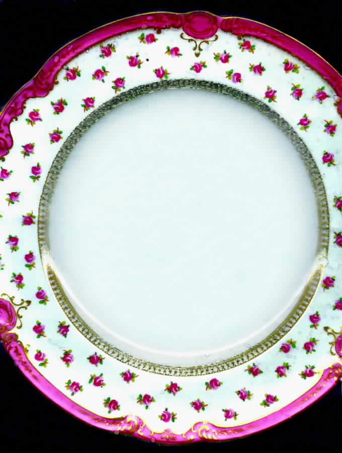 59227 Dinner Plate by Minton-1