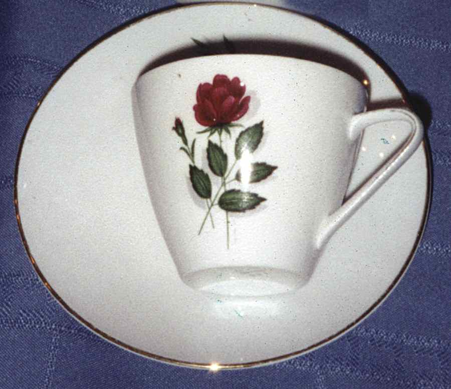 MIT95 Flat Cup & Saucer Set by Mitterteich-1