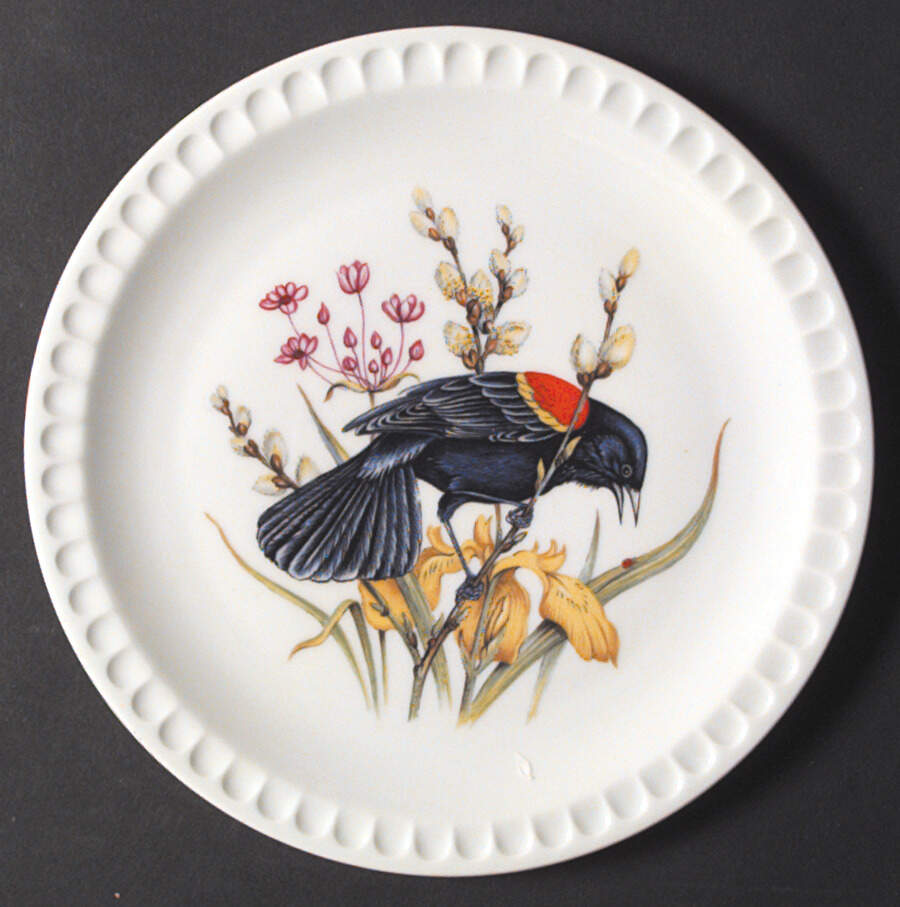 MOT23 Salad Plate by Mottahedeh-1
