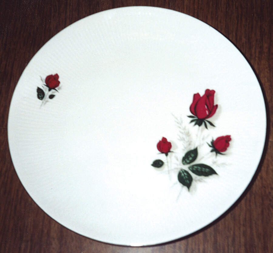 MIT96 Dinner Plate by Mitterteich-1