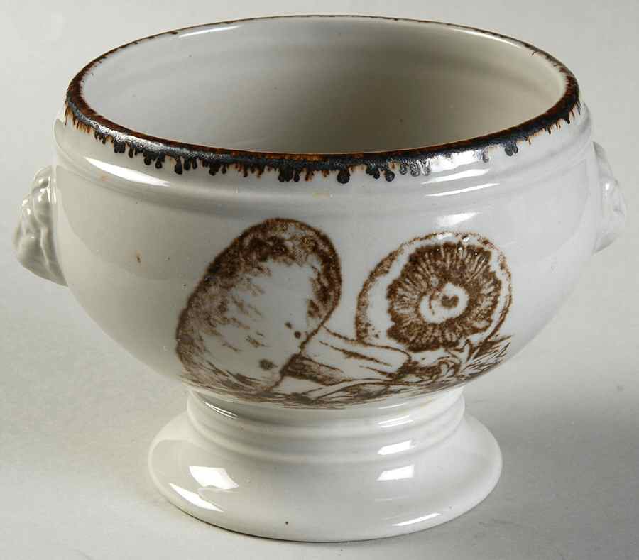 MDW19 Open Onion Soup by W R Midwinter Ltd-1