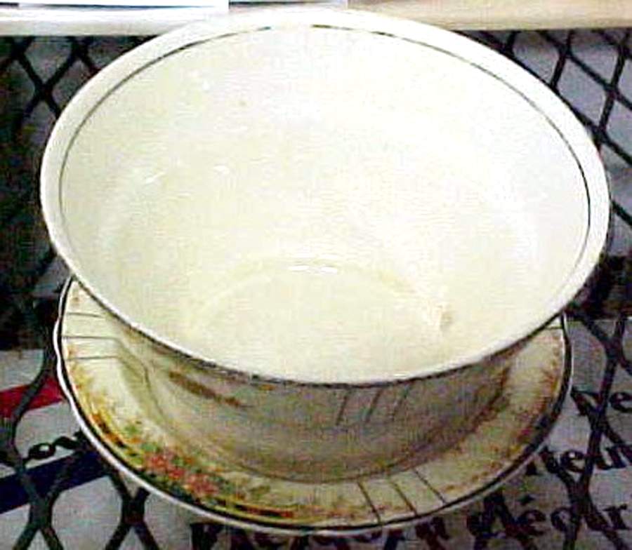 Florida 9" Round Vegetable Bowl by Myott Staffordshire-1
