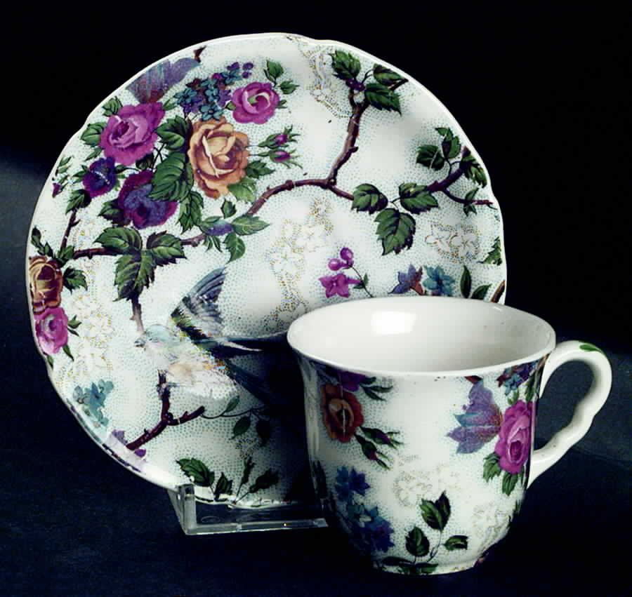 Brama (Birds) Flat Demitasse Cup & Saucer Set by W R Midwinter Ltd-1