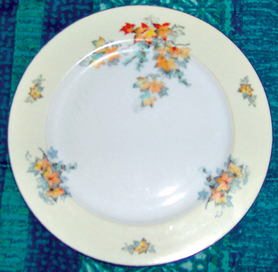 V779 Dinner Plate by Meito-1