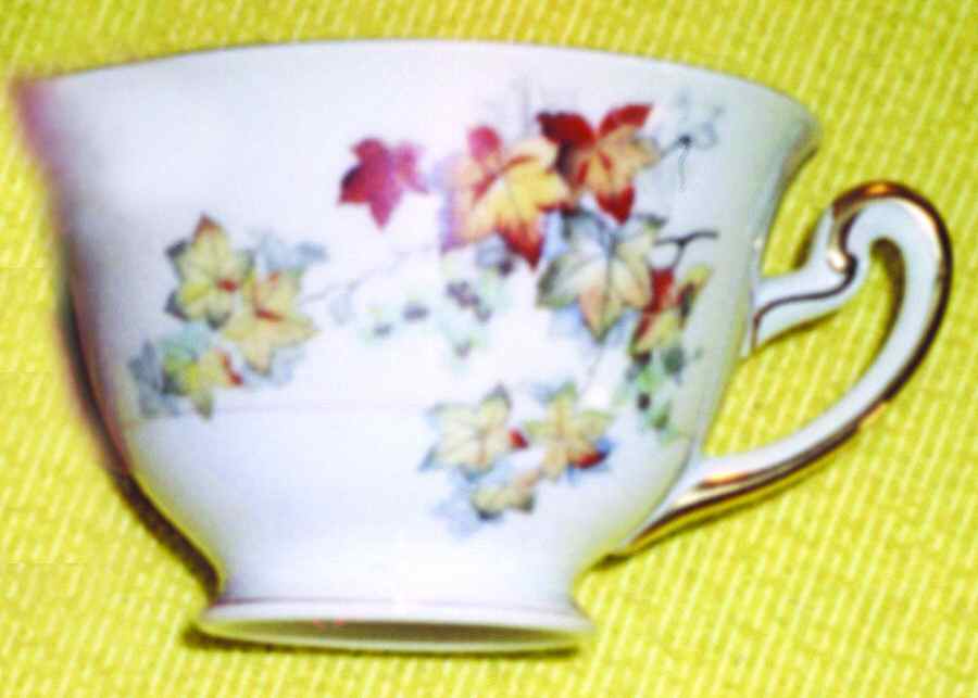 V779 Footed Cup by Meito-1