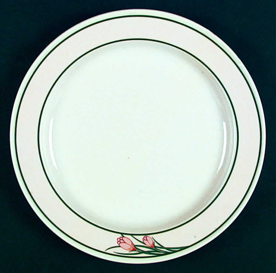 MYR31 Dinner Plate by Mayer (American)-1
