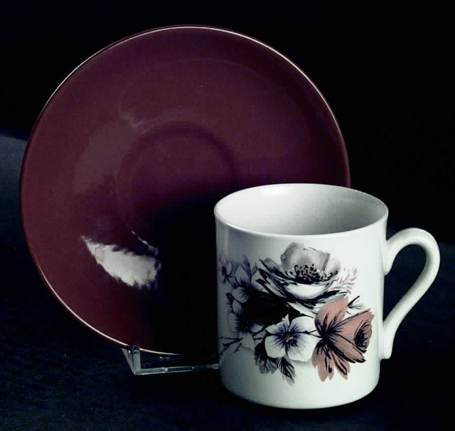 Arcadia Flat Cup & Saucer Set by Myott Staffordshire-1