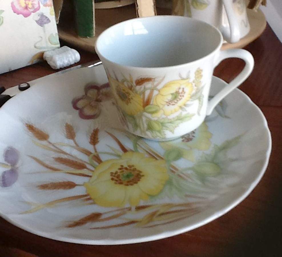 Kent Garden Snack Plate & Cup Set by Seymour Mann-1