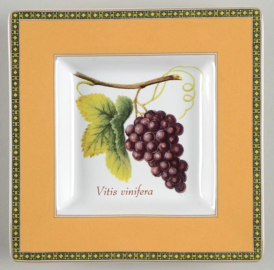 Fruit Odyssey Square Appetizer Plate by Mikasa-1