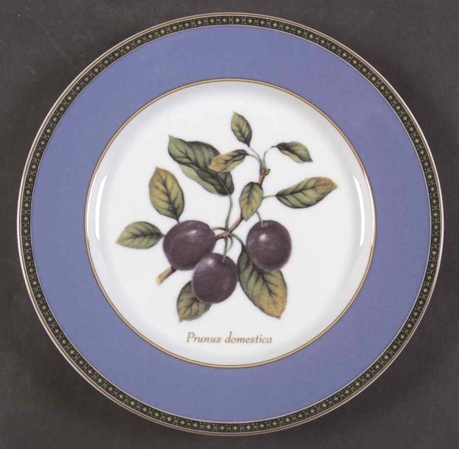 Fruit Odyssey Salad Plate by Mikasa-1