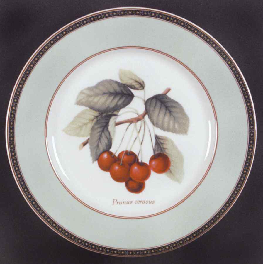 Fruit Odyssey Salad Plate by Mikasa-1