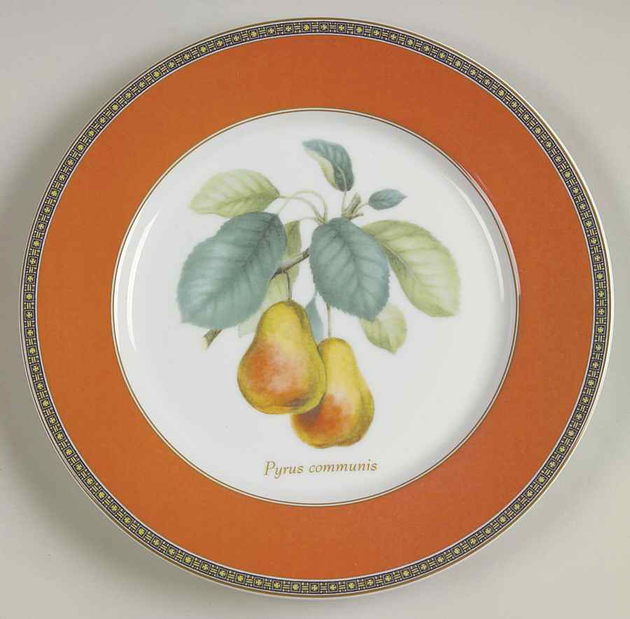 Fruit Odyssey Salad Plate by Mikasa-1