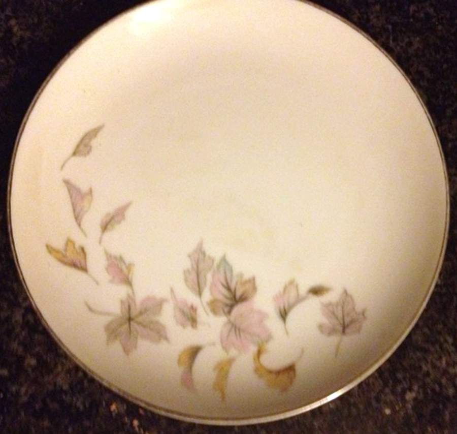 MTK12 Dinner Plate by Mitake-1