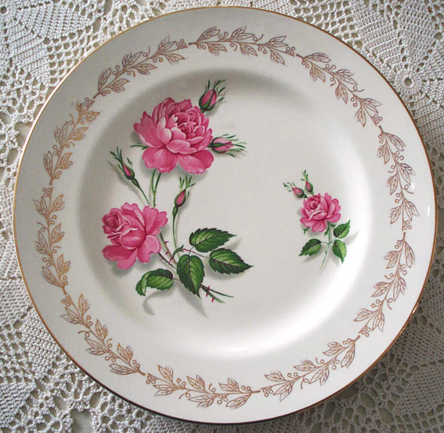 Golden Laurel Dinner Plate by J & G Meakin-1