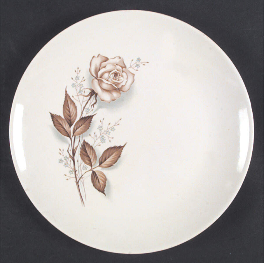 MTC146 Dinner Plate by Mount Clemens-1