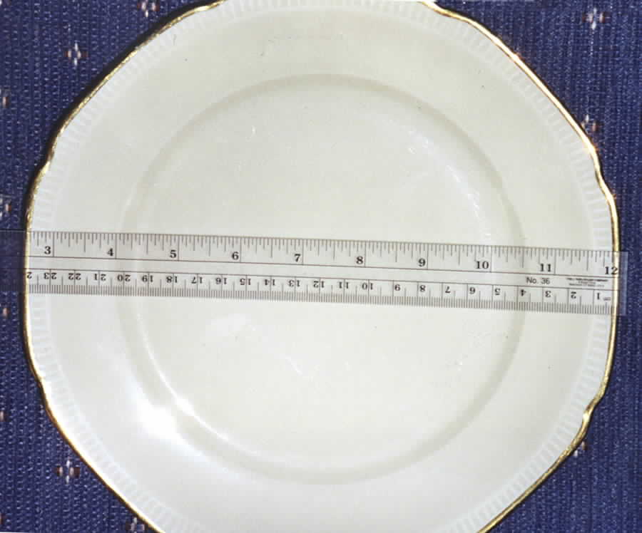 MIT106 Dinner Plate by Mitterteich-1