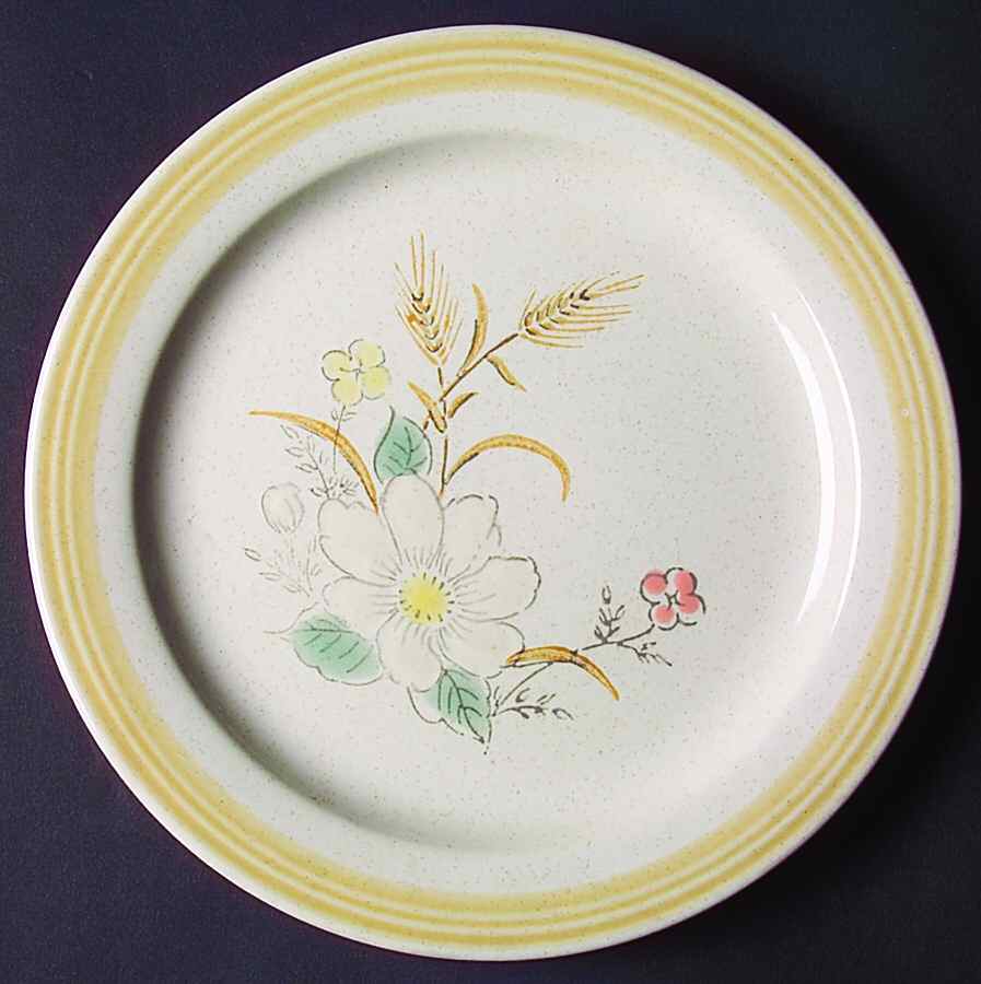 Vista Salad Plate by Mount Clemens-1