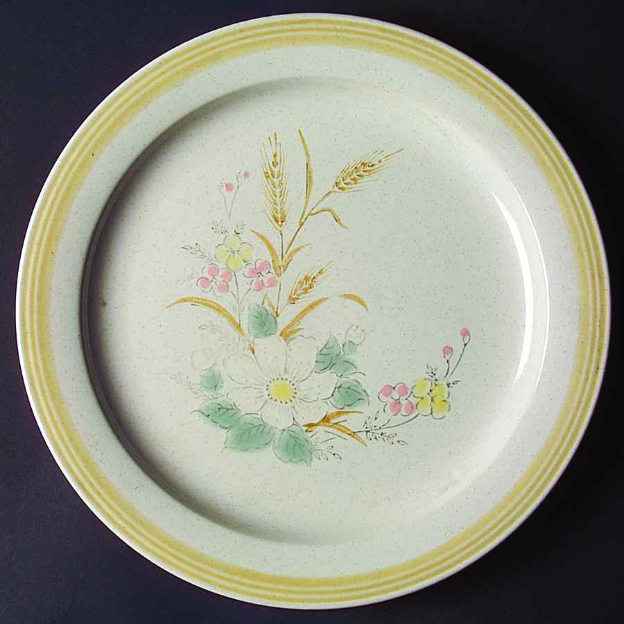Vista Dinner Plate by Mount Clemens-1