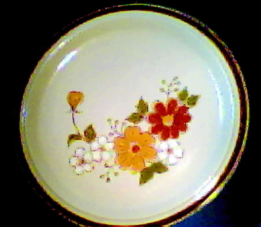 Autumn Dinner Plate by Newcor-1