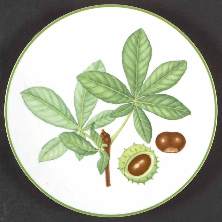 Nutleaf Dessert/Pie Plate by Mottahedeh-1