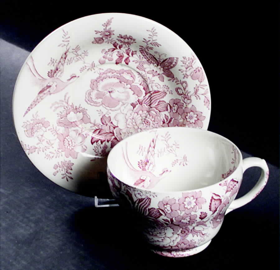 MLG3 Joke Cup & Saucer Set by C T Maling & Sons-1