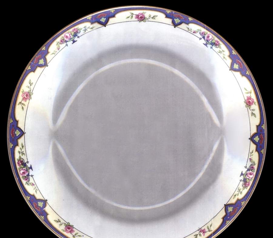 Alma Dinner Plate by J & G Meakin-1